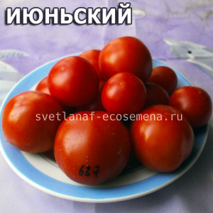 Июньский