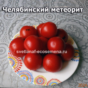 Челябинский метеорит